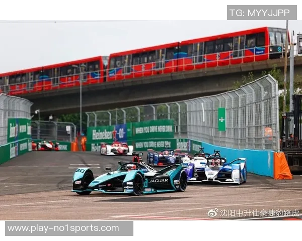 杨烨足球之夜激情四溢球迷共聚畅享精彩赛事与欢乐时光